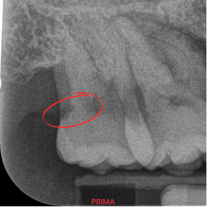 1-Apr-14-2026-08-22-07-0778-AM