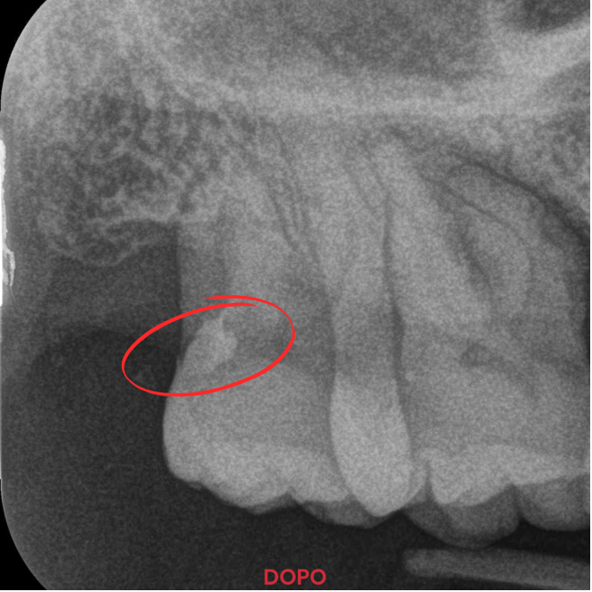 2-Apr-14-2026-08-22-06-9284-AM