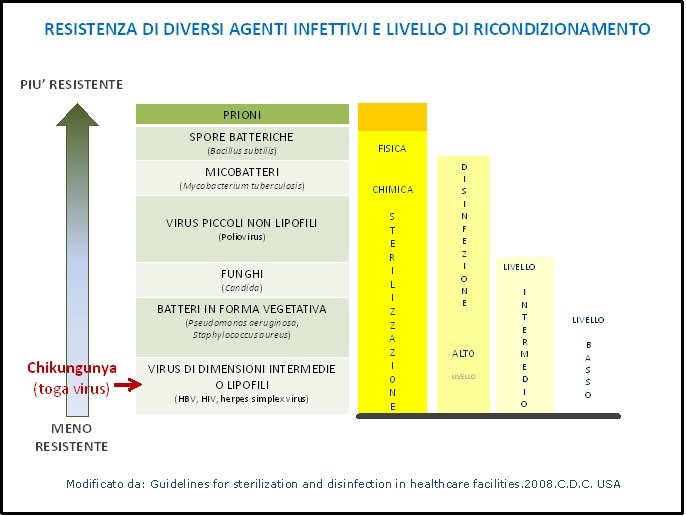 Grafico